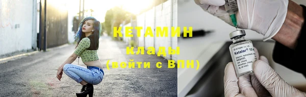 крисы Касимов