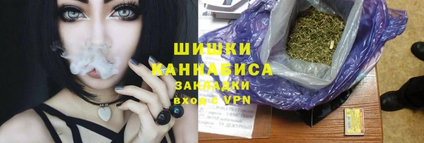 дживик Карпинск